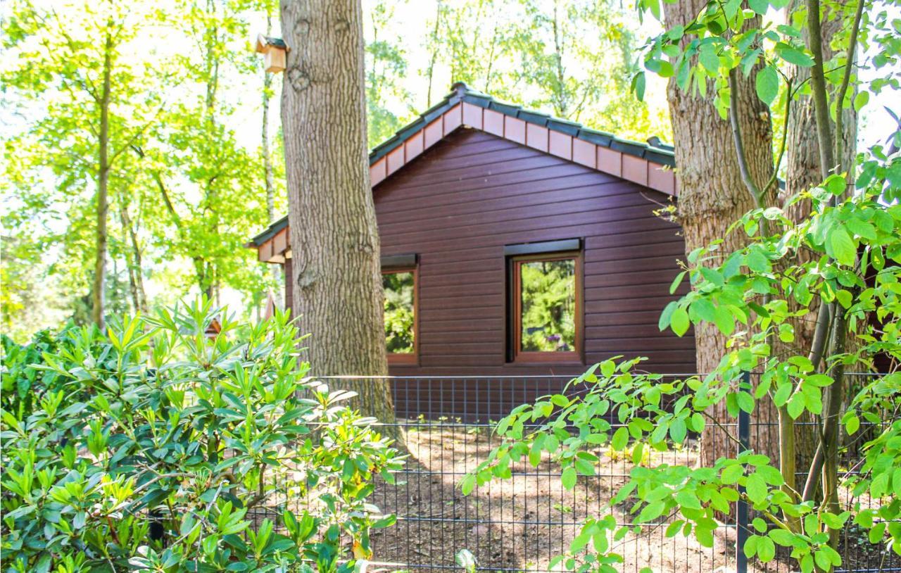 Pet Friendly Home In Haren With Sauna Dankern Extérieur photo
