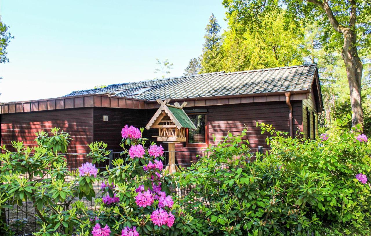 Pet Friendly Home In Haren With Sauna Dankern Extérieur photo
