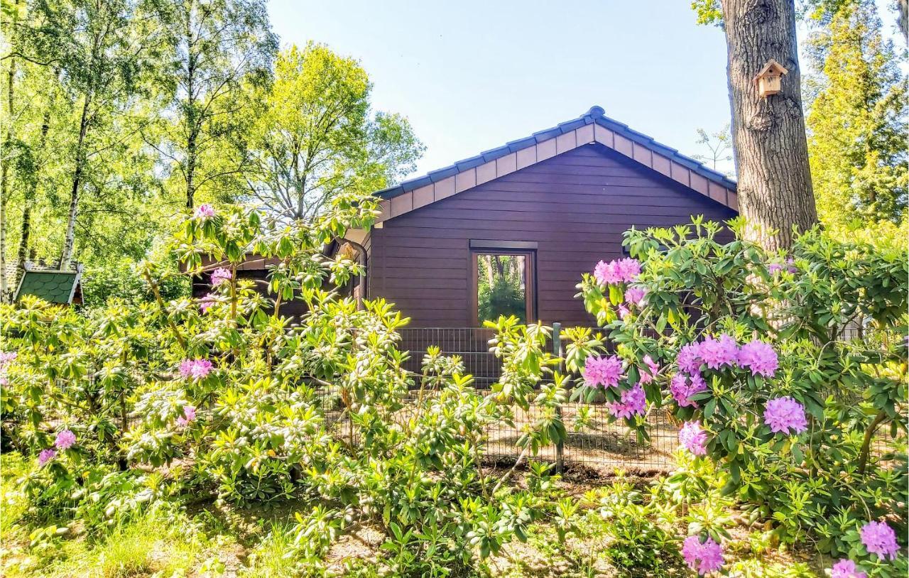 Pet Friendly Home In Haren With Sauna Dankern Extérieur photo